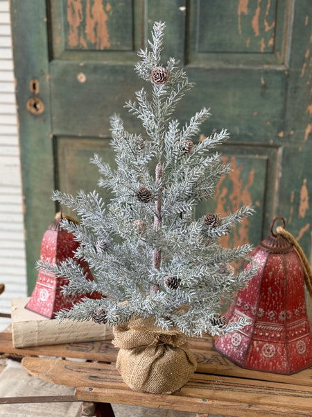 Frosted Arctic Pine Tree | 24" | NOT CURRENTLY IN STOCK-New For Holiday 2026!