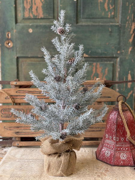 Frosted Arctic Pine Tree | 24" | NOT CURRENTLY IN STOCK-New For Holiday 2026!