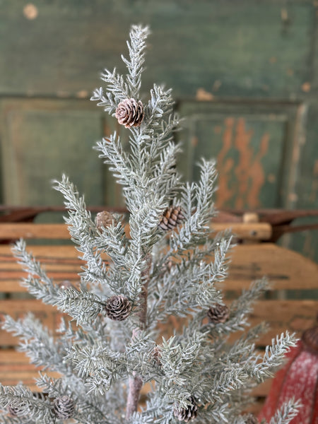 Frosted Arctic Pine Tree | 24" | NOT CURRENTLY IN STOCK-New For Holiday 2026!