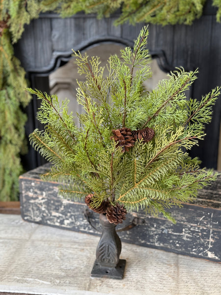 Enduring Evergreen Bush | 22" | NOT CURRENTLY IN STOCK-New For Holiday 2026!