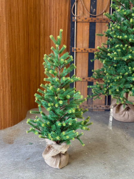 Gracious Greens Pine Tree | 3' | NOT CURRENTLY IN STOCK-New For Holiday 2026!
