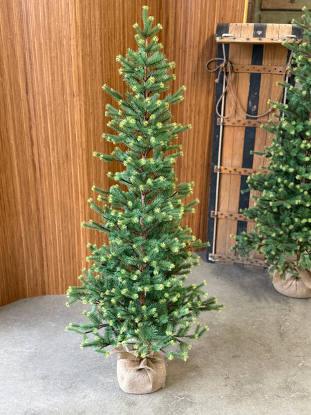 Gracious Greens Pine Tree | 5' | NOT CURRENTLY IN STOCK-New For Holiday 2026!