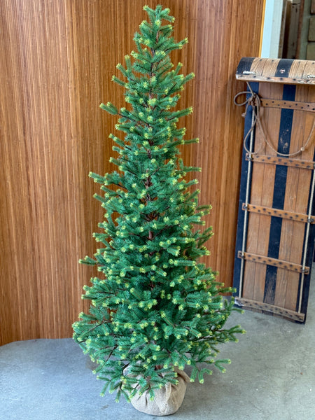 Gracious Greens Pine Tree | 6' | NOT CURRENTLY IN STOCK-New For Holiday 2026!