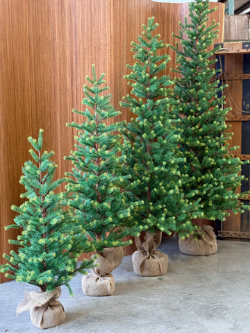 Gracious Greens Pine Tree | 6' | NOT CURRENTLY IN STOCK-New For Holiday 2026!