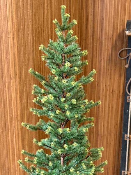 Gracious Greens Pine Tree | 3' | NOT CURRENTLY IN STOCK-New For Holiday 2026!