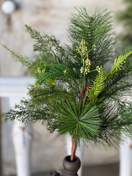 Woodbine Greens Bush | 22"