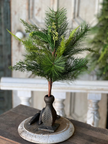 Woodbine Greens Bush | 22"