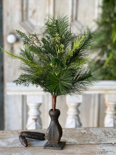 Woodbine Greens Bush | 22"