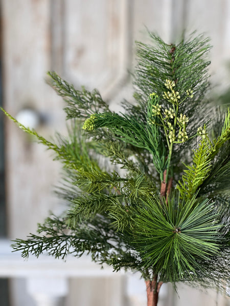 Woodbine Greens Bush | 22"