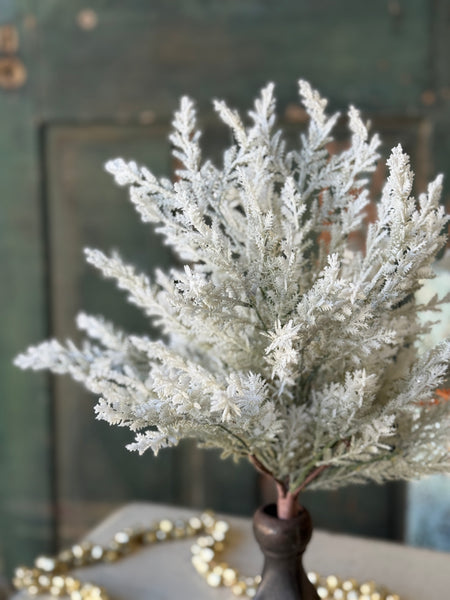 Icy Frostline Bush | 18" | NOT CURRENTLY IN STOCK-New For Holiday 2026!