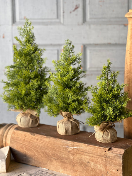 Midland Tree | 15" | SOLD OUT