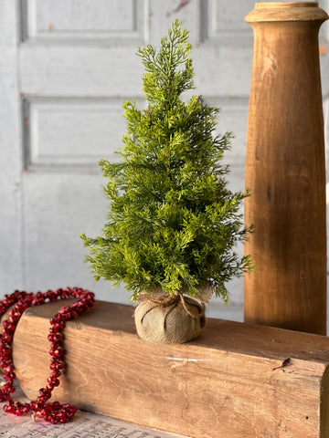 Midland Tree | 18" | SOLD OUT