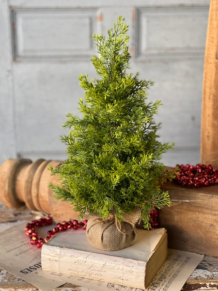 Midland Tree | 18" | SOLD OUT