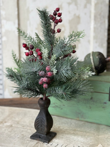 Rollick Berry Pine Bush | 18" | NOT CURRENTLY IN STOCK-New For Holiday 2026!