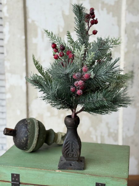 Rollick Berry Pine Bush | 18" | NOT CURRENTLY IN STOCK-New For Holiday 2026!