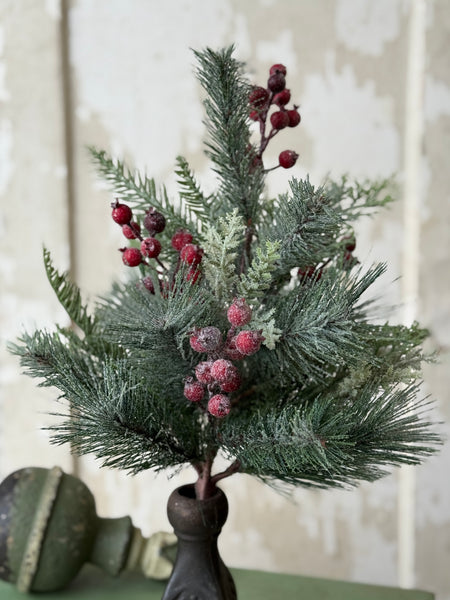 Rollick Berry Pine Bush | 18" | NOT CURRENTLY IN STOCK-New For Holiday 2026!