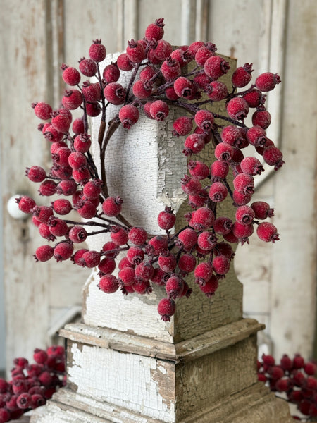 Iced Everberry Wreath | 14" | NOT CURRENTLY IN STOCK-New For Holiday 2026!
