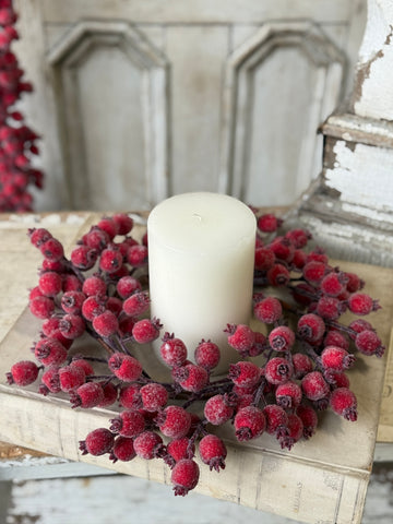 Iced Everberry Wreath | 14"
