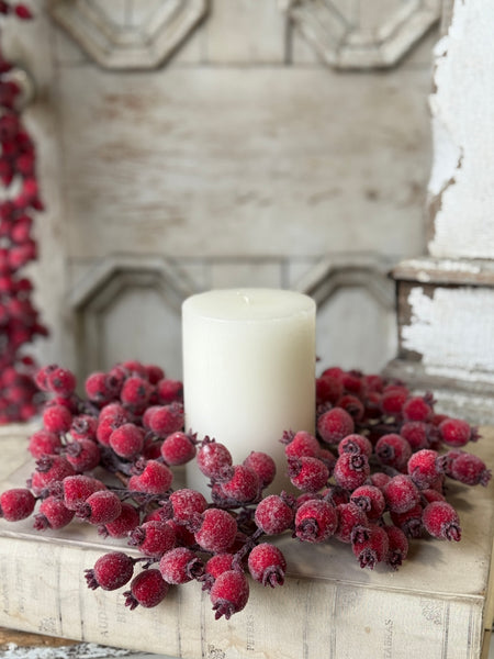 Iced Everberry Wreath | 14" | NOT CURRENTLY IN STOCK-New For Holiday 2026!