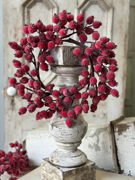 Iced Everberry Wreath | 14" | NOT CURRENTLY IN STOCK-New For Holiday 2026!