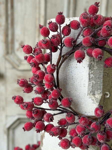 Iced Everberry Wreath | 14" | NOT CURRENTLY IN STOCK-New For Holiday 2026!