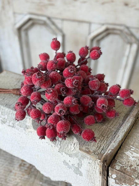 Iced Everberry Bundle | 18" | NOT CURRENTLY IN STOCK-New For Holiday 2026!