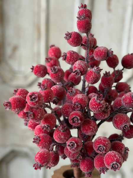 Iced Everberry Bundle | 18" | NOT CURRENTLY IN STOCK-New For Holiday 2026!