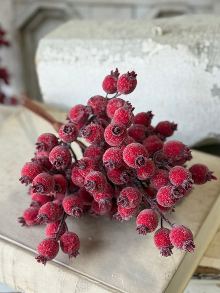 Iced Everberry Bundle | 18" | NOT CURRENTLY IN STOCK-New For Holiday 2026!