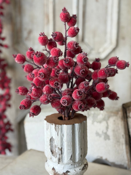 Iced Everberry Bundle | 18" | NOT CURRENTLY IN STOCK-New For Holiday 2026!