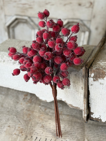 Iced Everberry Bundle | 18" | NOT CURRENTLY IN STOCK-New For Holiday 2026!