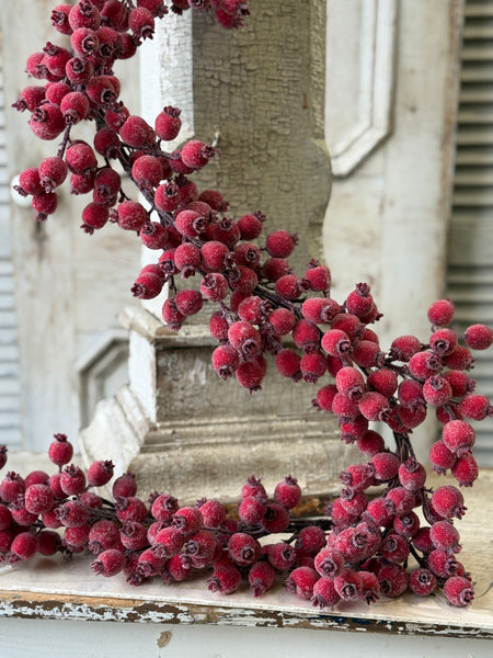 Iced Everberry Garland | 6' | NOT CURRENTLY IN STOCK-New For Holiday 2026!