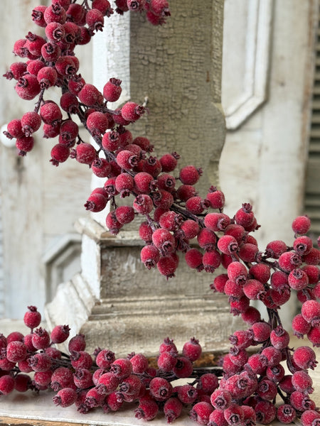 Iced Everberry Garland | 6' | NOT CURRENTLY IN STOCK-New For Holiday 2026!