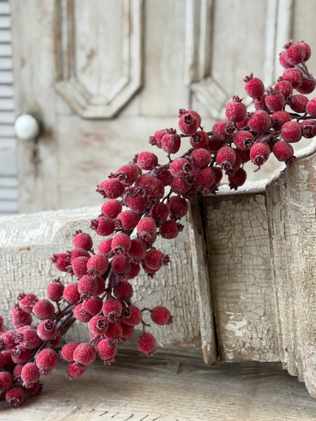 Iced Everberry Garland | 6' | NOT CURRENTLY IN STOCK-New For Holiday 2026!