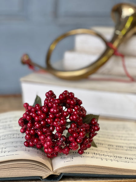 Cherish Berry Pick | 13" | Red | SOLD OUT