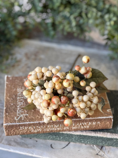 Cherish Berry Pick | 13" | Cream | CASE PACK SPECIAL!  $0.95