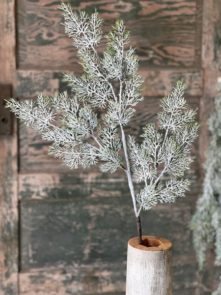 Fairisle Cedar Spray | 35"