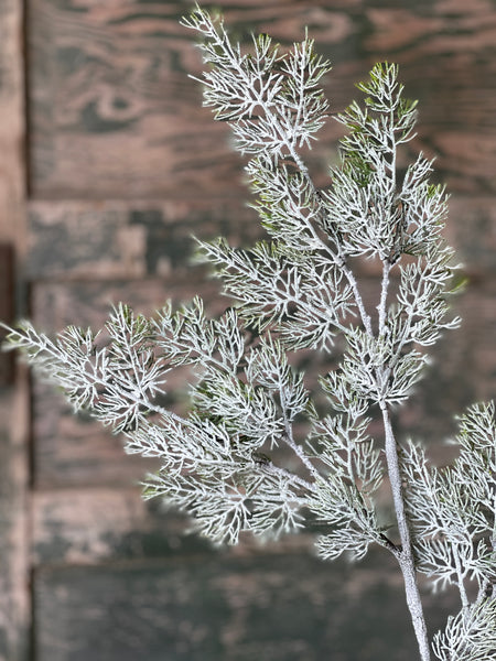 Fairisle Cedar Spray | 35"