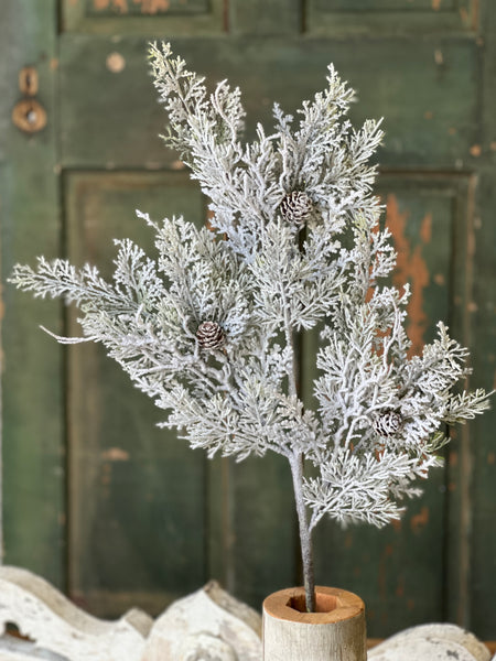 Snowy Nobility Cedar Spray | 35" | SOLD OUT