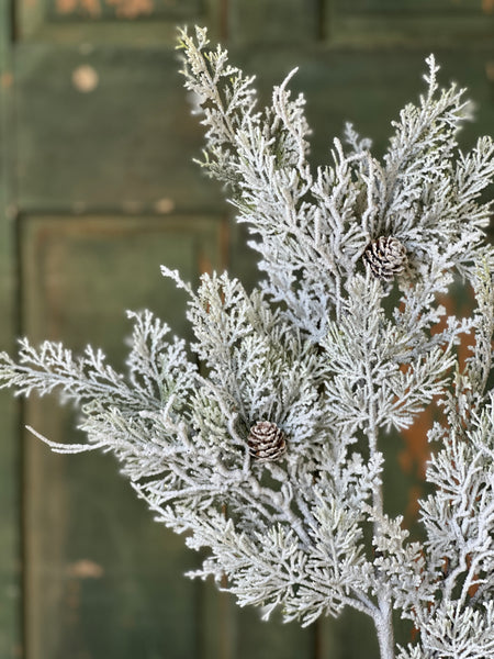 Snowy Nobility Cedar Spray | 35" | SOLD OUT