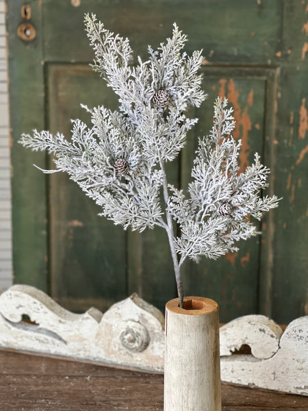 Snowy Nobility Cedar Spray | 35" | SOLD OUT