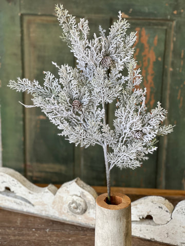 Snowy Nobility Cedar Spray | 35" | SOLD OUT