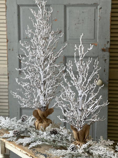 Silent Silhouette Tree | 40"