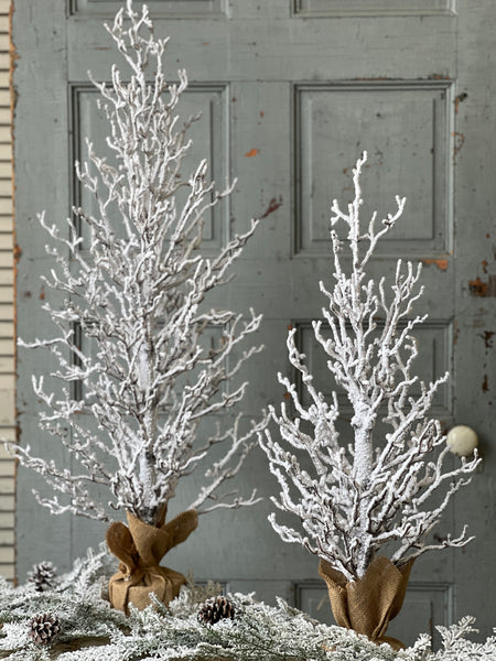 Silent Silhouette Tree | 40"