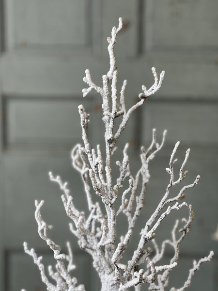 Silent Silhouette Tree | 40"