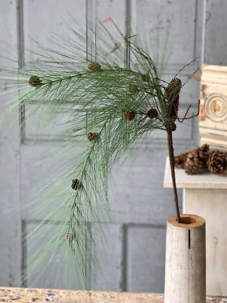 Sprawling Pine Spray | 50" | Timber