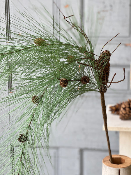 Sprawling Pine Spray | 50" | Timber