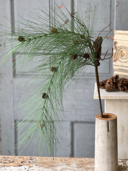 Sprawling Pine Spray | 50" | Timber