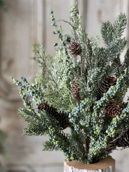 Greensleeves Pine Bush | 20" | CLEAN UP SPECIAL!  $5.95 - Last 36pcs!