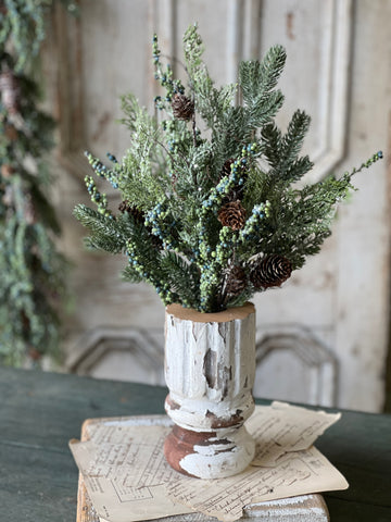 Greensleeves Pine Bush | 20" | CLEAN UP SPECIAL!  $5.95 - Last 36pcs!