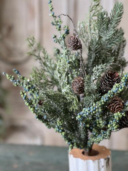 Greensleeves Pine Bush | 20" | CLEAN UP SPECIAL!  $5.95 - Last 36pcs!